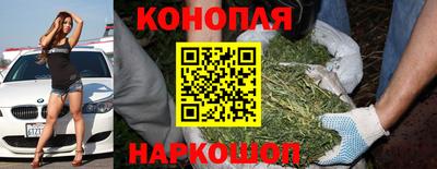 твердый Будённовск