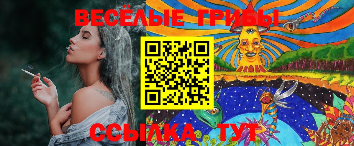 Псилоцибиновые грибы Cubensis  Вход с VPN  Сухой Лог 